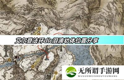 艾尔登法环dlc泪滴幼体位置分享-dlc泪滴幼体位置攻略