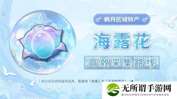 原神海露花采集路线一览-海露花采集路线图文攻略