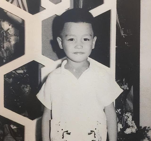 张国荣童年创伤影响_张国荣抑郁症成因_香港娱乐圈黑张国荣