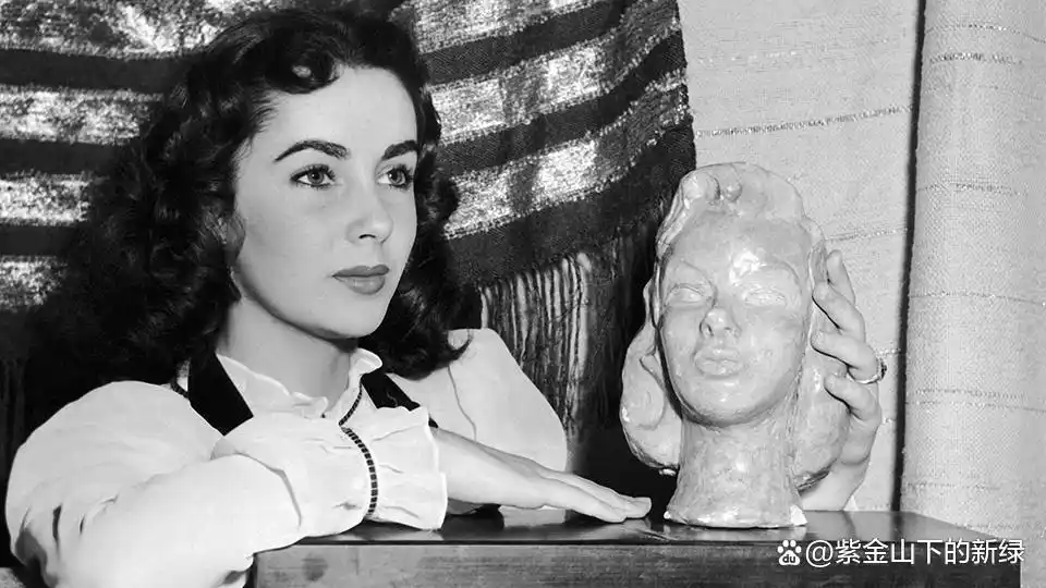 影史最美女演员排行榜 萨尔玛海耶克 伊丽莎白泰勒格蕾丝凯利_电影女明星 概览