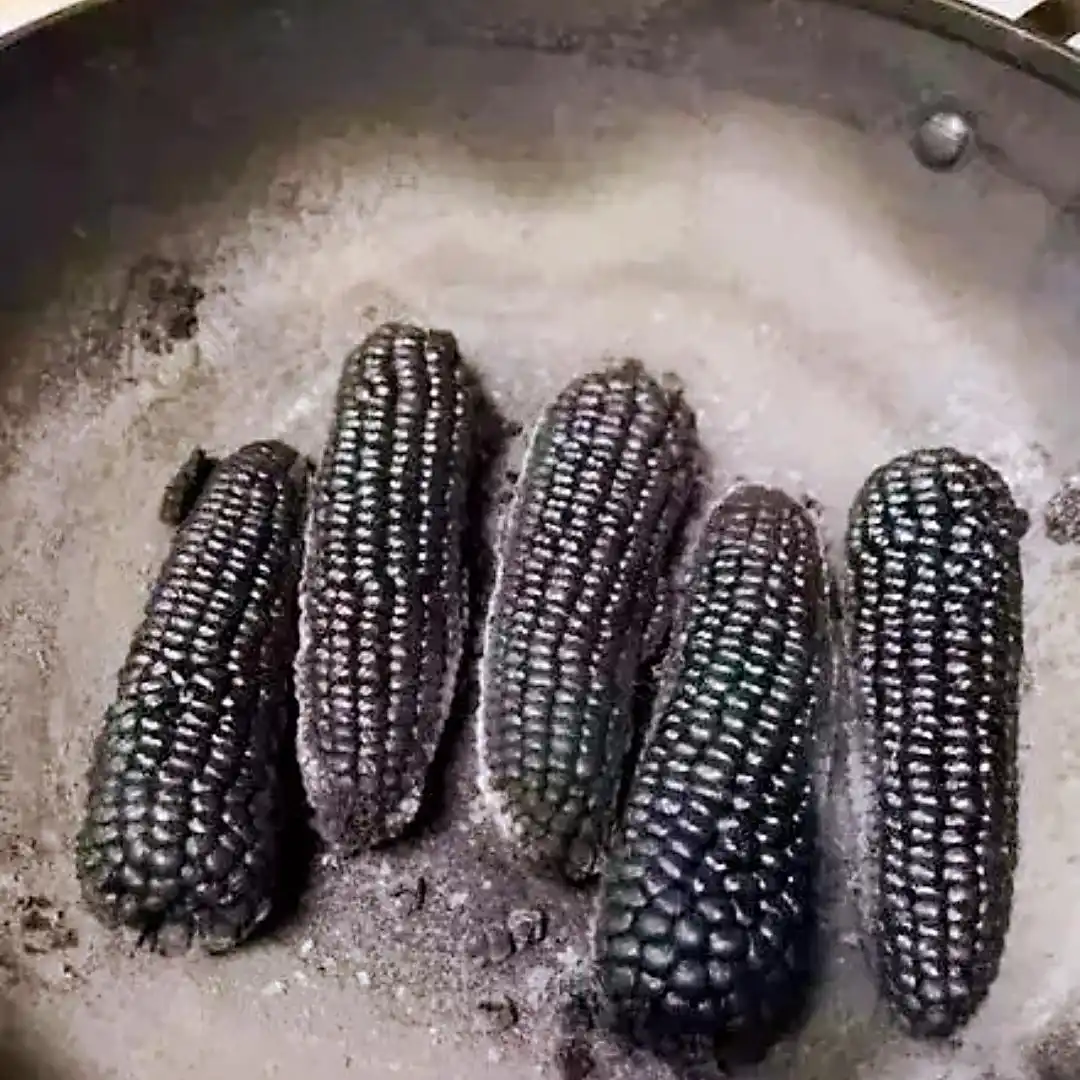 厨艺翻车 黑暗料理 网红菜谱_明星黑暗料理图片大全高清,